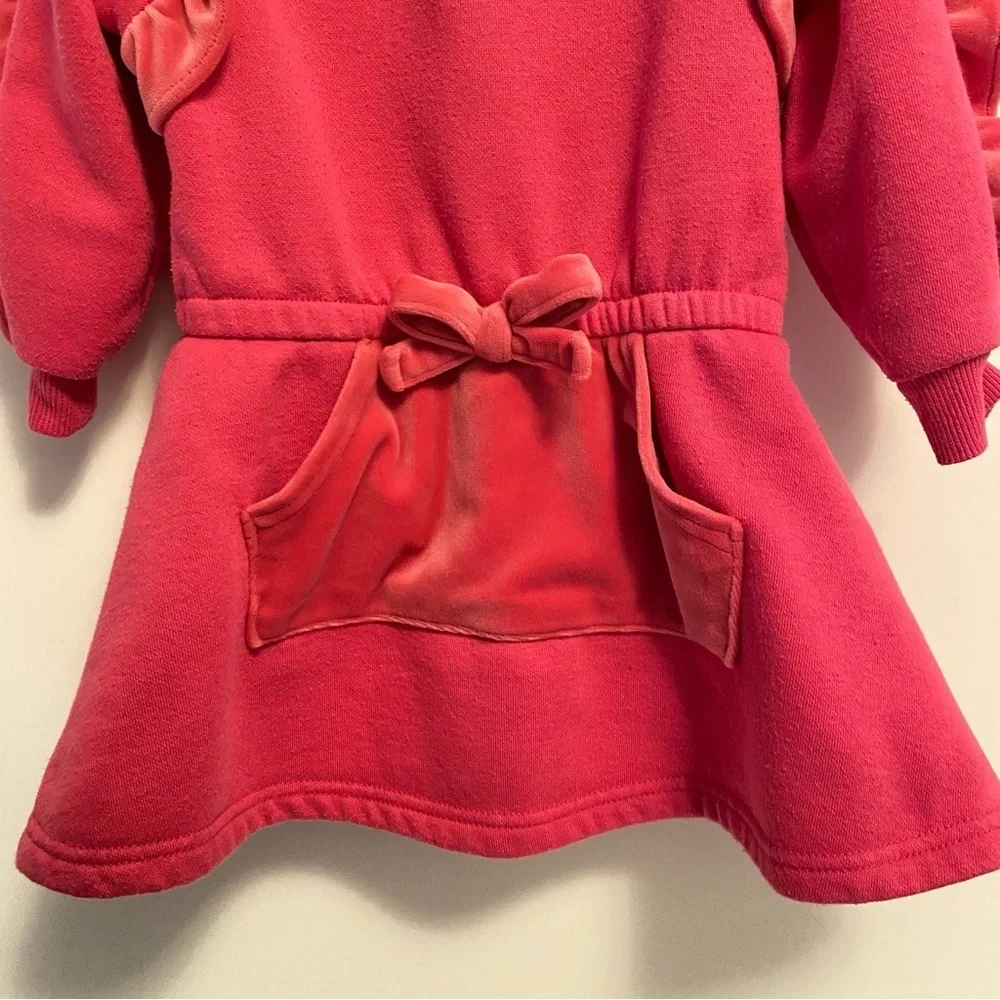 Blueberi Boulevard Toddler Girl's Ruffled Fleece Long Sleeve Dress Rose Pink 2T
